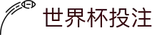 世界杯投注 - 2026世界杯投注